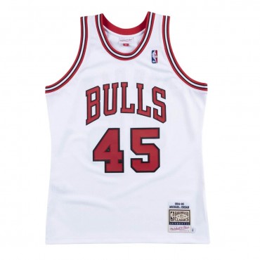 1994-95 Chicago Bulls...