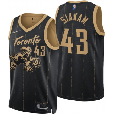 TORONTO RAPTORS SWINGMAN...
